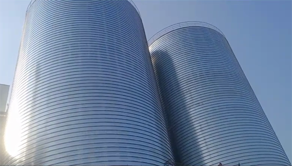 猇亭2座混凝土高架卷板仓